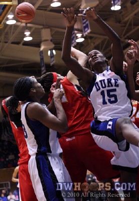 All out war for the Vernerey miss -  - 