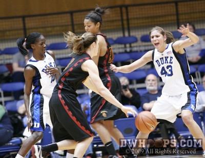 Tough Duke D from Mitchell and Vernerey -  - 