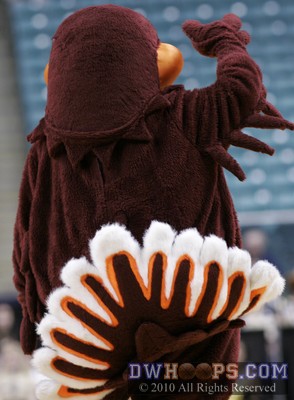 The back of a Hokie -  - 