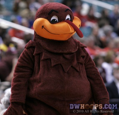 The front of a Hokie -  - 