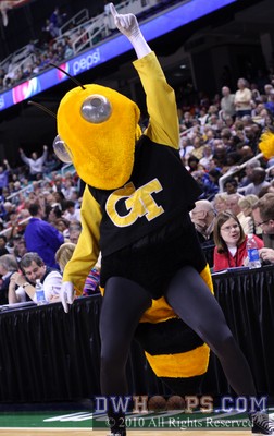 Buzz, Georgia Tech's mascot, had a lot of fun on the court and with the photographers on hand -  - 