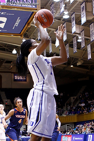 DWHoops Photo