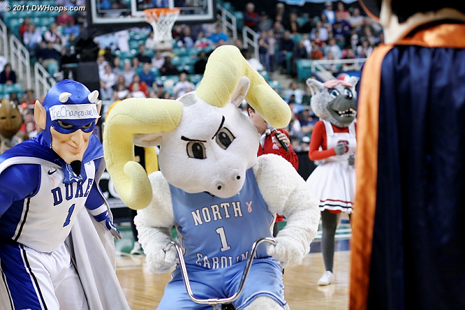 DWHoops Photo  