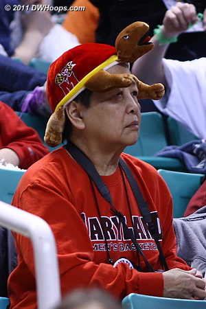 Terrapin hat  