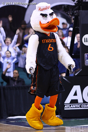 Miami mascot Sebastian the Ibis  