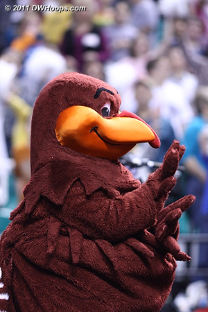 Hokie Bird  