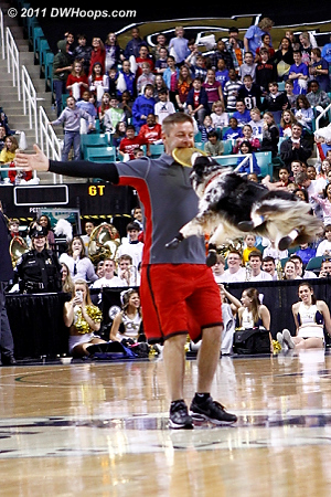 Halftime entertainment!  