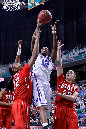 DWHoops Photo  