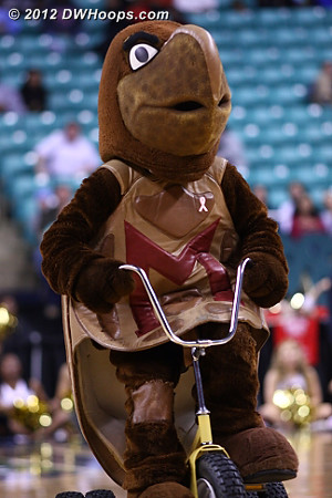 DWHoops Photo  - MD Players: Mascot Testudo 