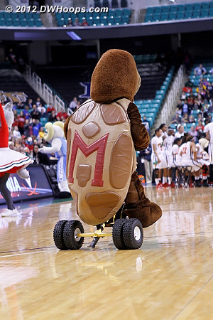 DWHoops Photo  - MD Players: Mascot Testudo 