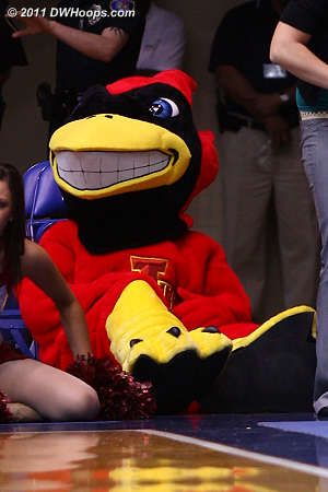 Iowa State Cardinal - spooky teeth for a bird!  