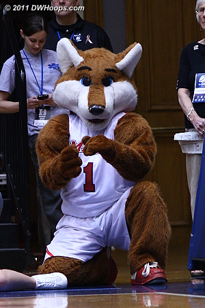 The Marist Red Fox  