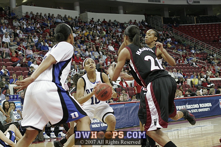 ...eyes the basket...
