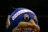 2nd Half Action -  - 